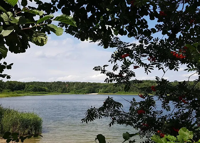 Urlaub Am Seddiner Chalet Michendorf